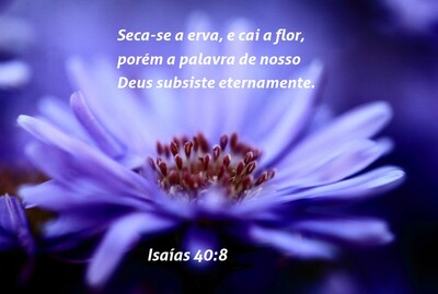 Isaías 40:8 Flores (purple)
